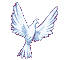 centered image